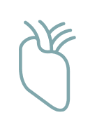 Simple line drawing of a human heart, shown with curved lines representing the organ and vessels, on a light gray background—a minimalist illustration symbolizing heart health and the journey of cardiac rehabilitation.
