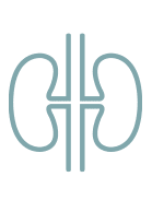 Simple line drawing of two kidneys facing each other, connected by two vertical lines in the center, on a light gray background.