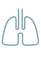 Simple line drawing of human lungs and trachea, depicted in light blue on a light gray background, illustrating the vital anatomy often focused on in respiratory care.